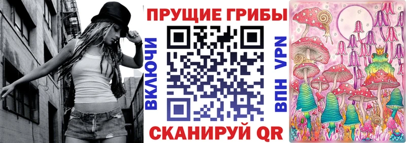 Псилоцибиновые грибы мицелий  Щигры 